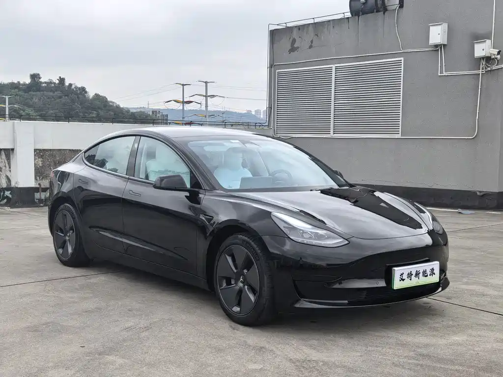 Tesla Model 3 — миниатюра 3
