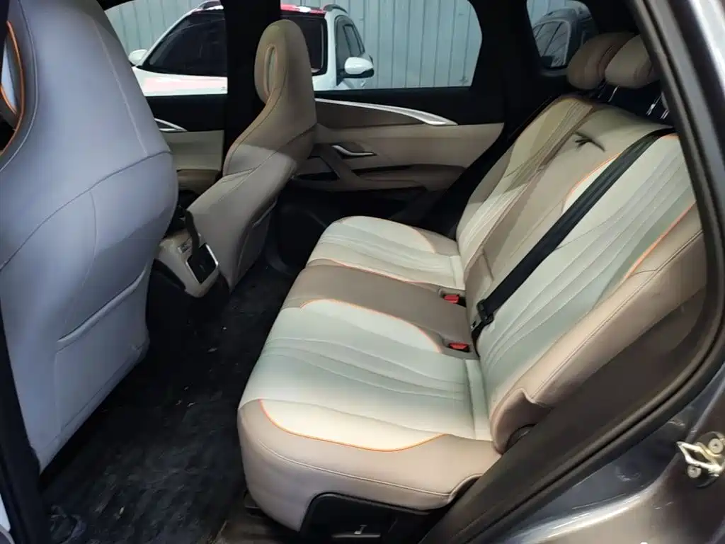 BYD Pro New Energy — миниатюра 17