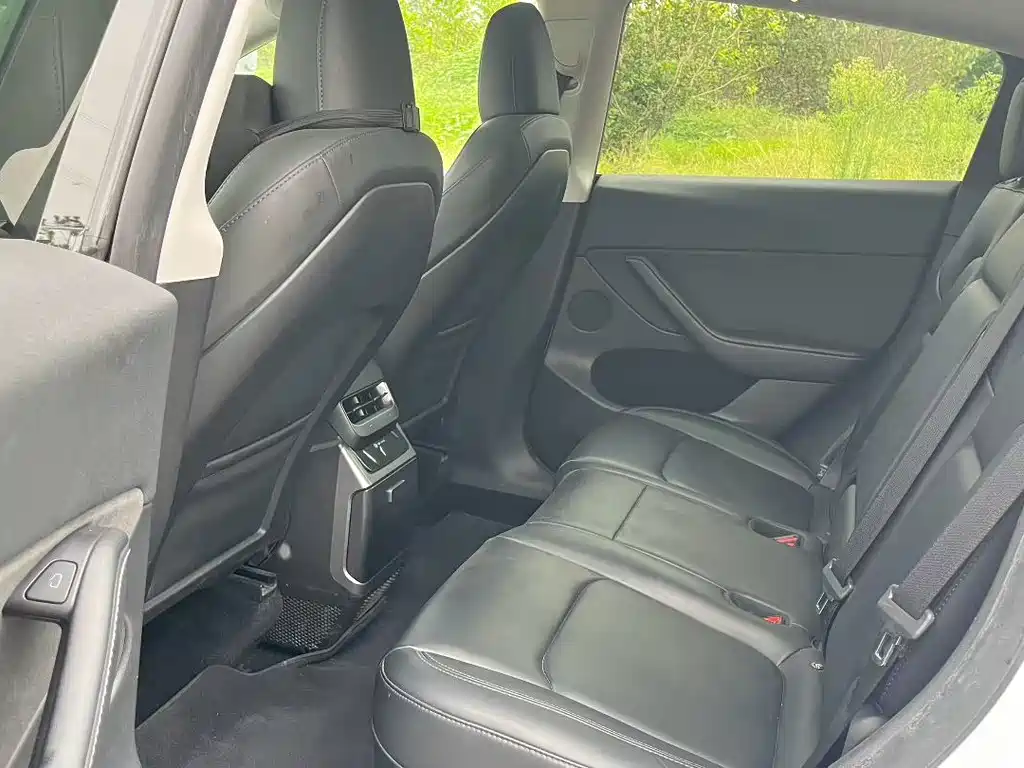 Tesla Model Y — миниатюра 6