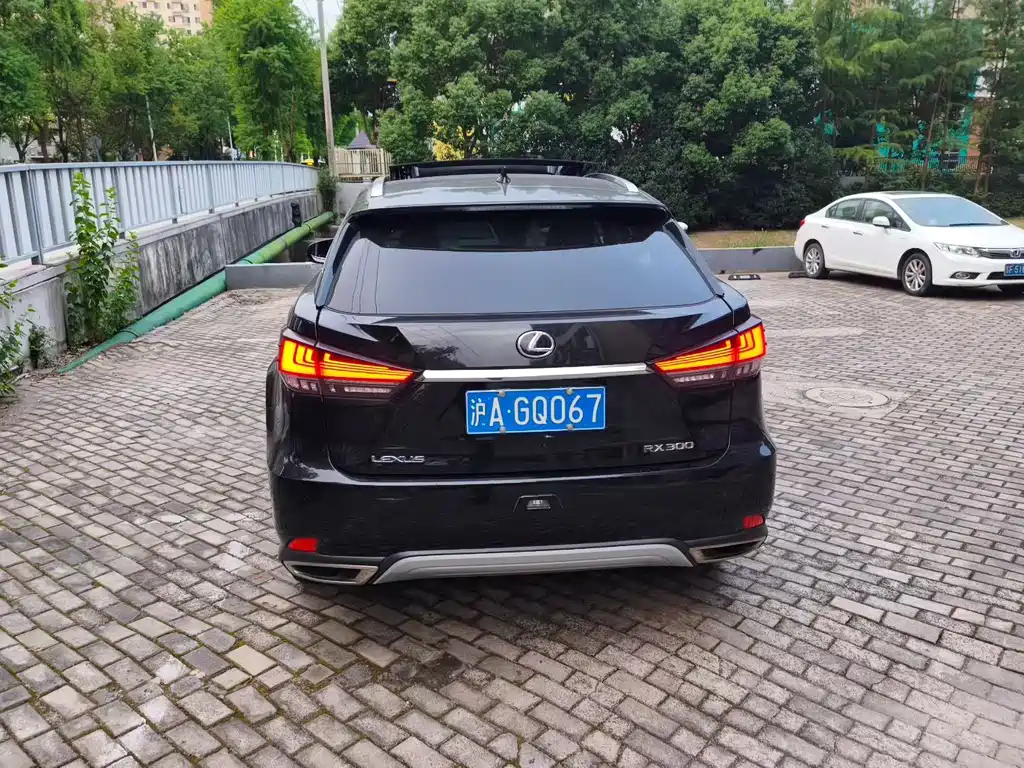 Lexus RX — миниатюра 4