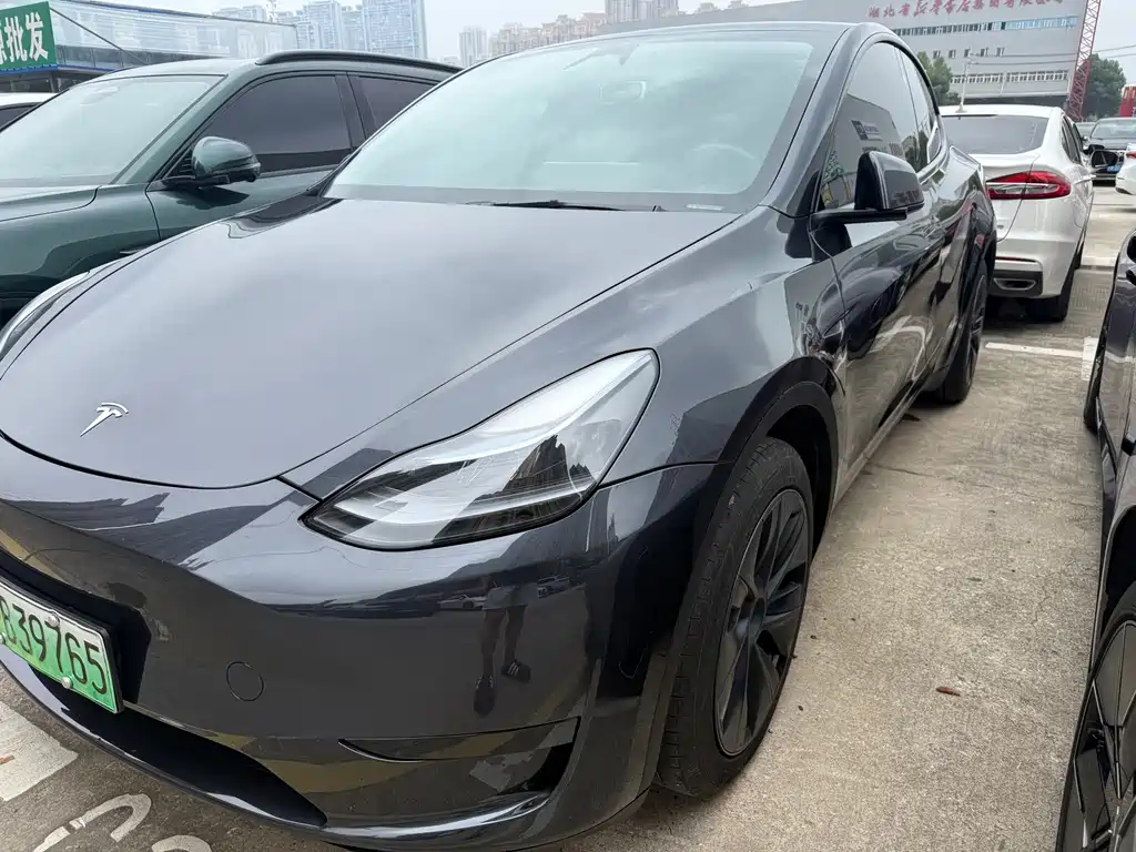 Tesla Model Y — миниатюра 3