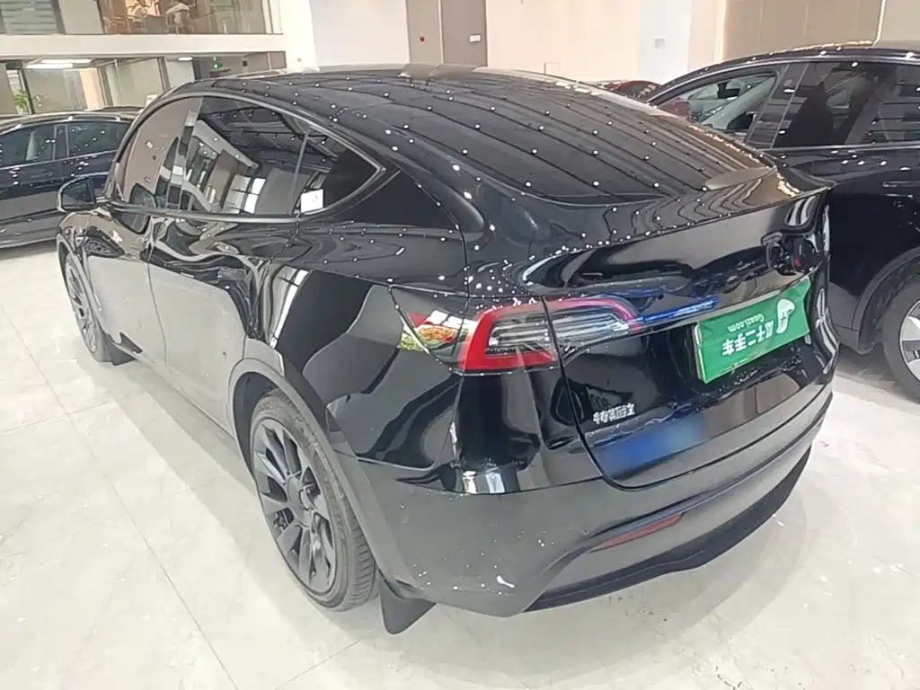 Tesla Model Y — миниатюра 5