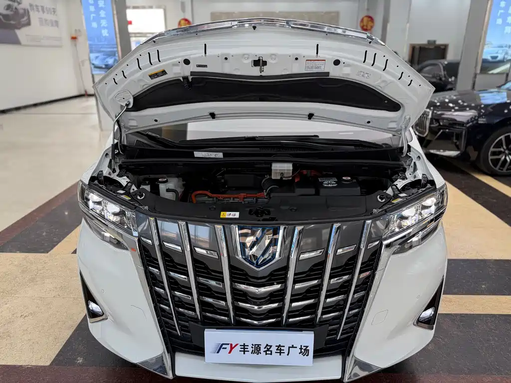 Toyota Alphard Hybrid 2.5L Premium Edition, фото 25