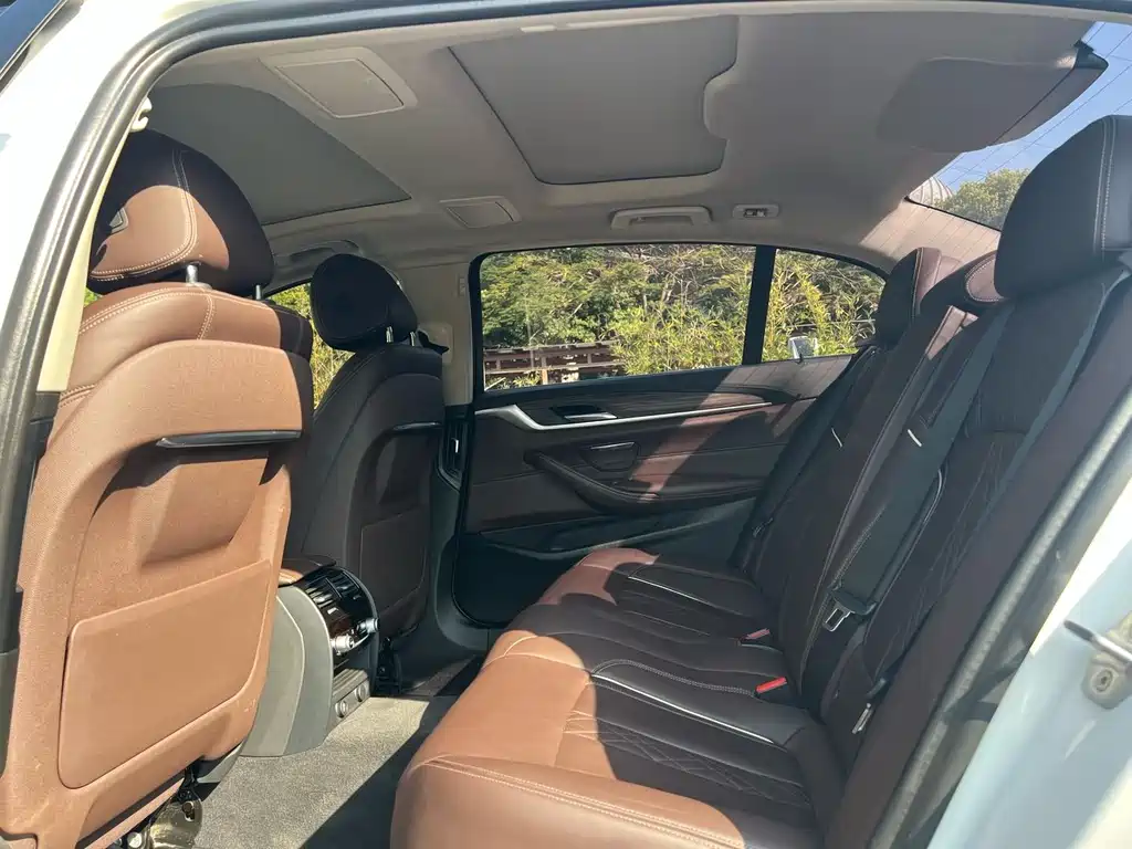 BMW 5 SERIES NEW ENERGY