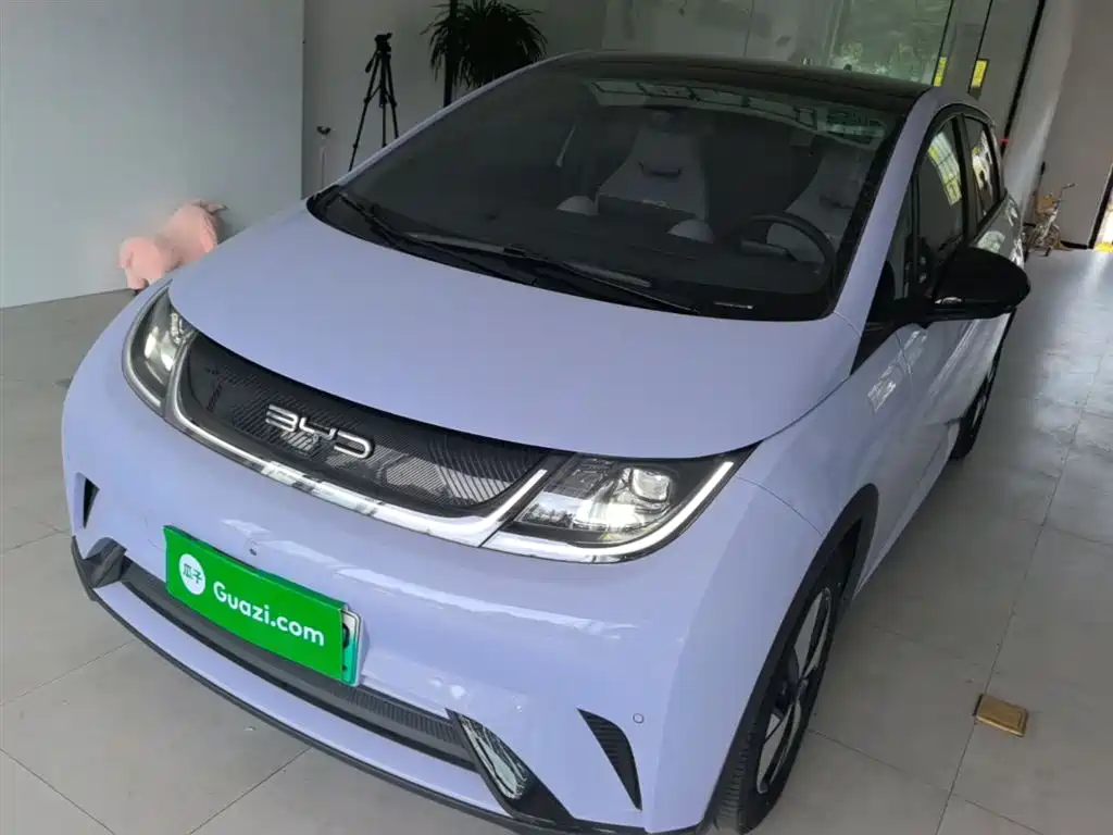 Byd Dolphin 2023