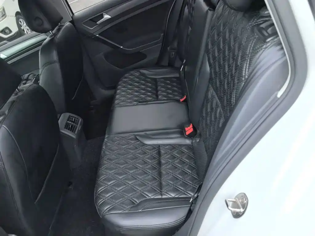 Volkswagen Golf (Import) — миниатюра 17