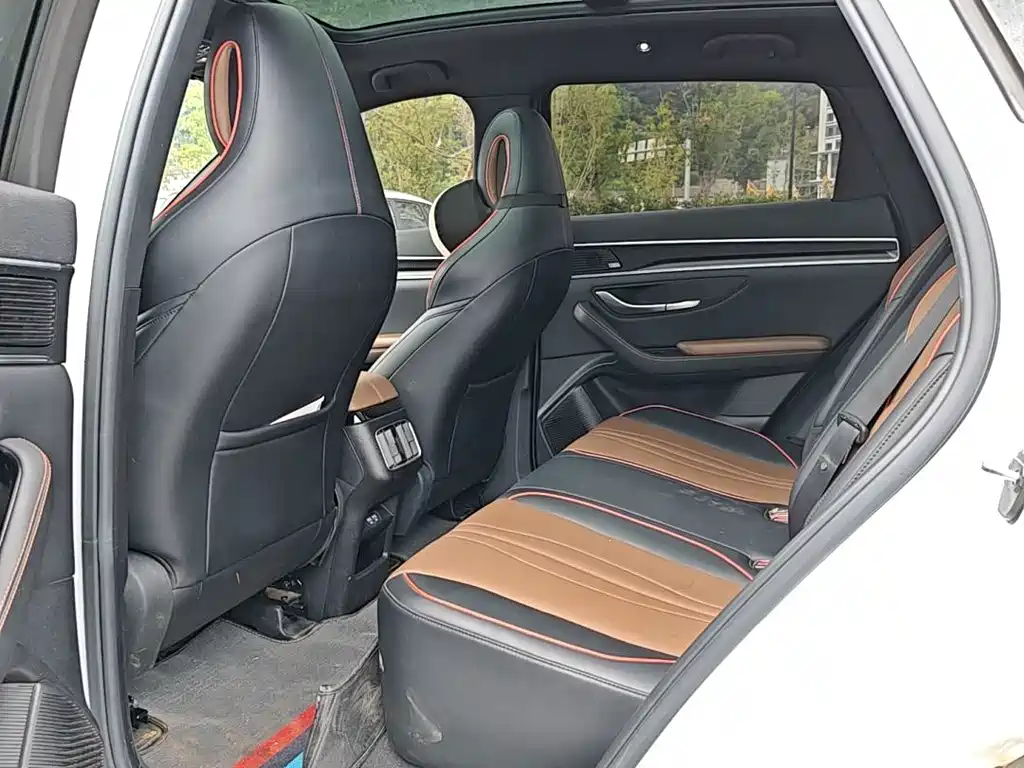 BYD PLUS — миниатюра 11