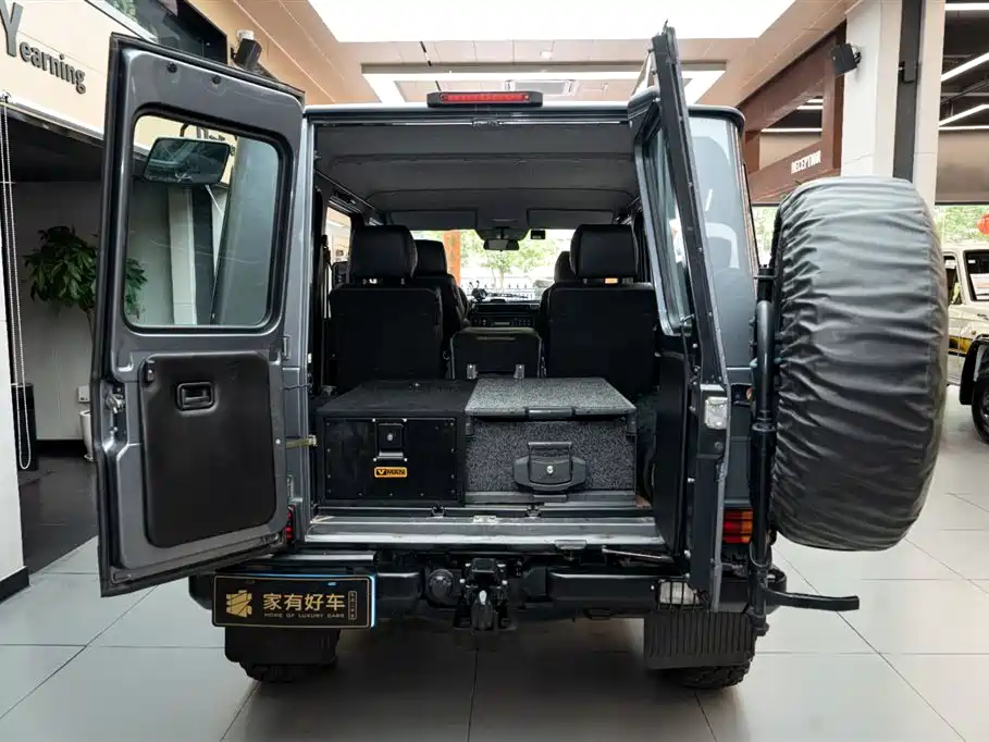 Mercedes-Benz G-Class G 2010 G300P