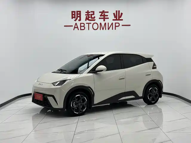 2024 BYD Seagull