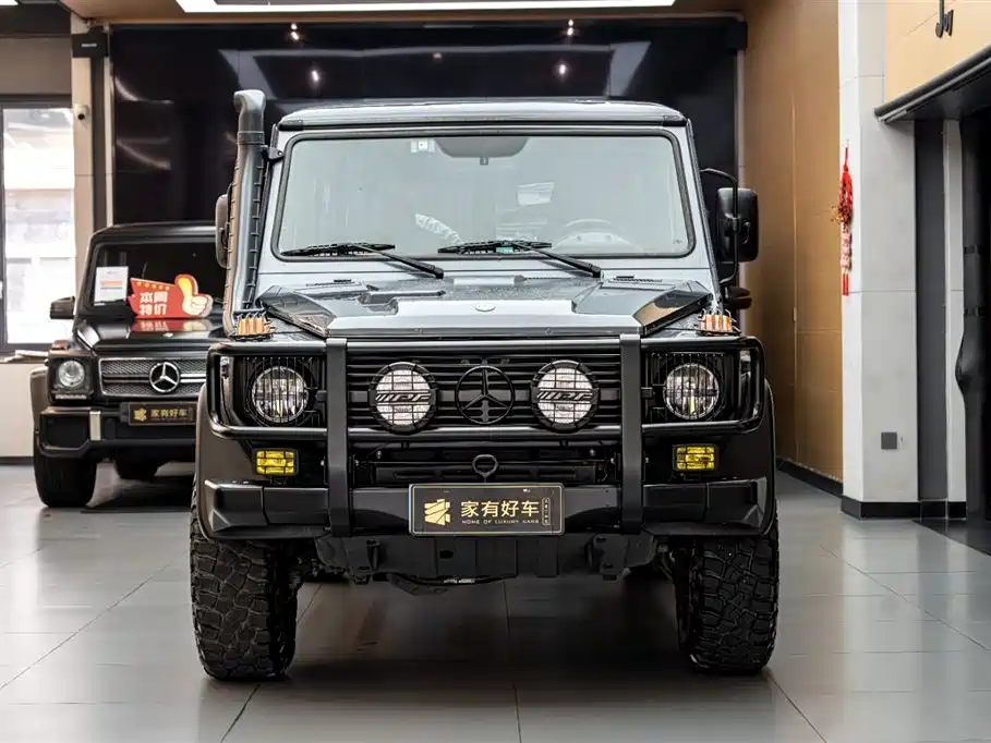 Mercedes-Benz G-Class G 2010 G300P