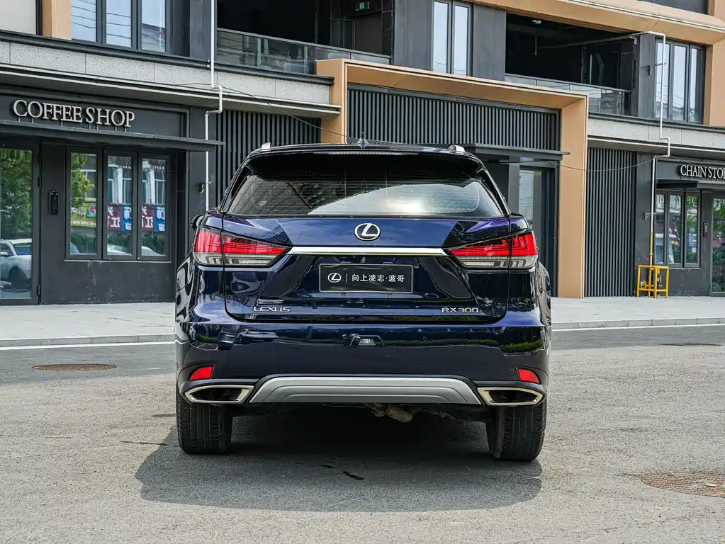 Lexus RX 2020 300 Comfort VI