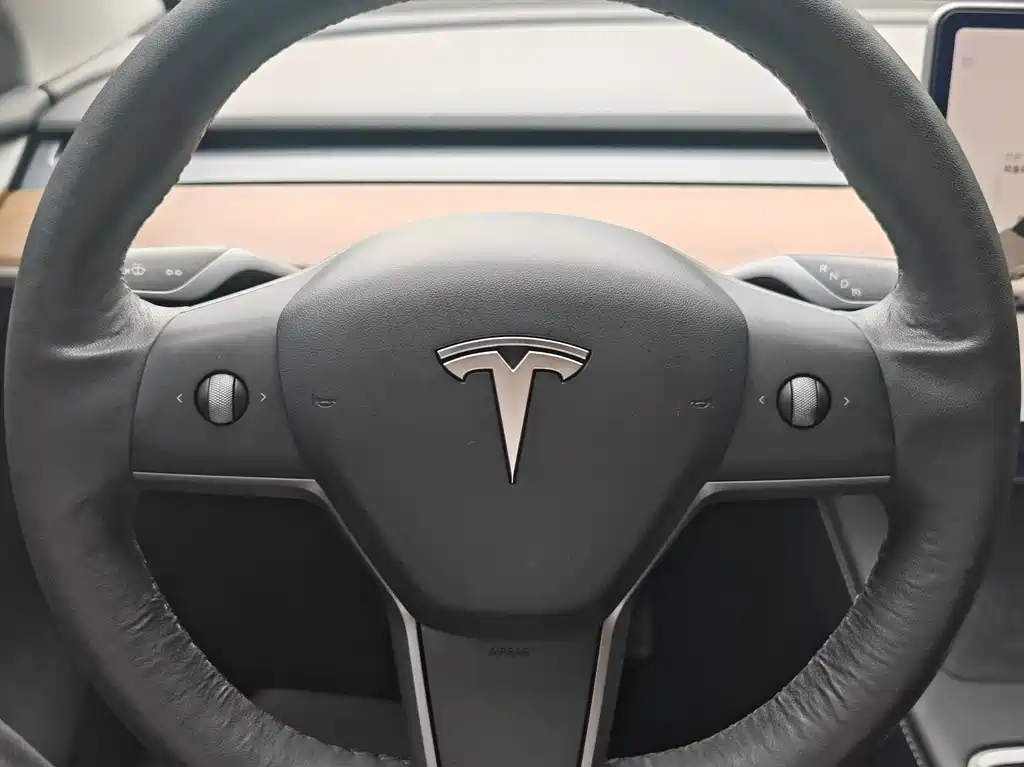 Tesla Model Y — миниатюра 13
