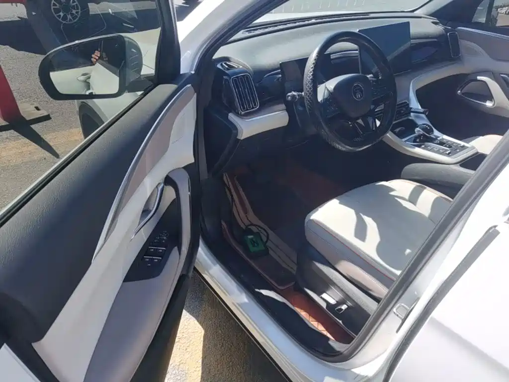 BYD Pro New Energy — миниатюра 16