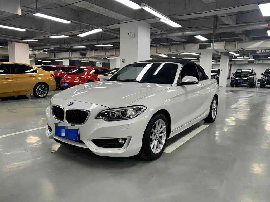 BMW 2 Series (Import) 2016