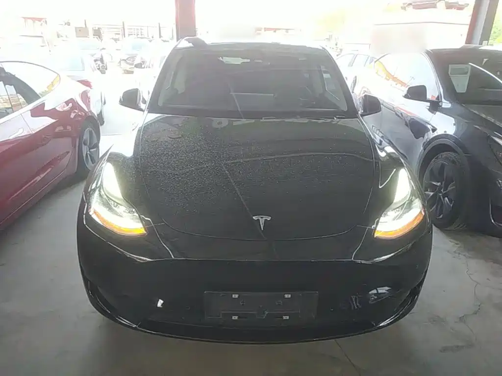 Tesla Model Y — миниатюра 3