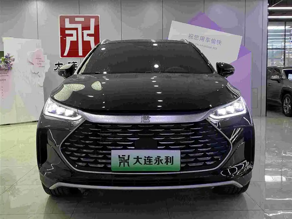 BYD Tang New Energy — миниатюра 2