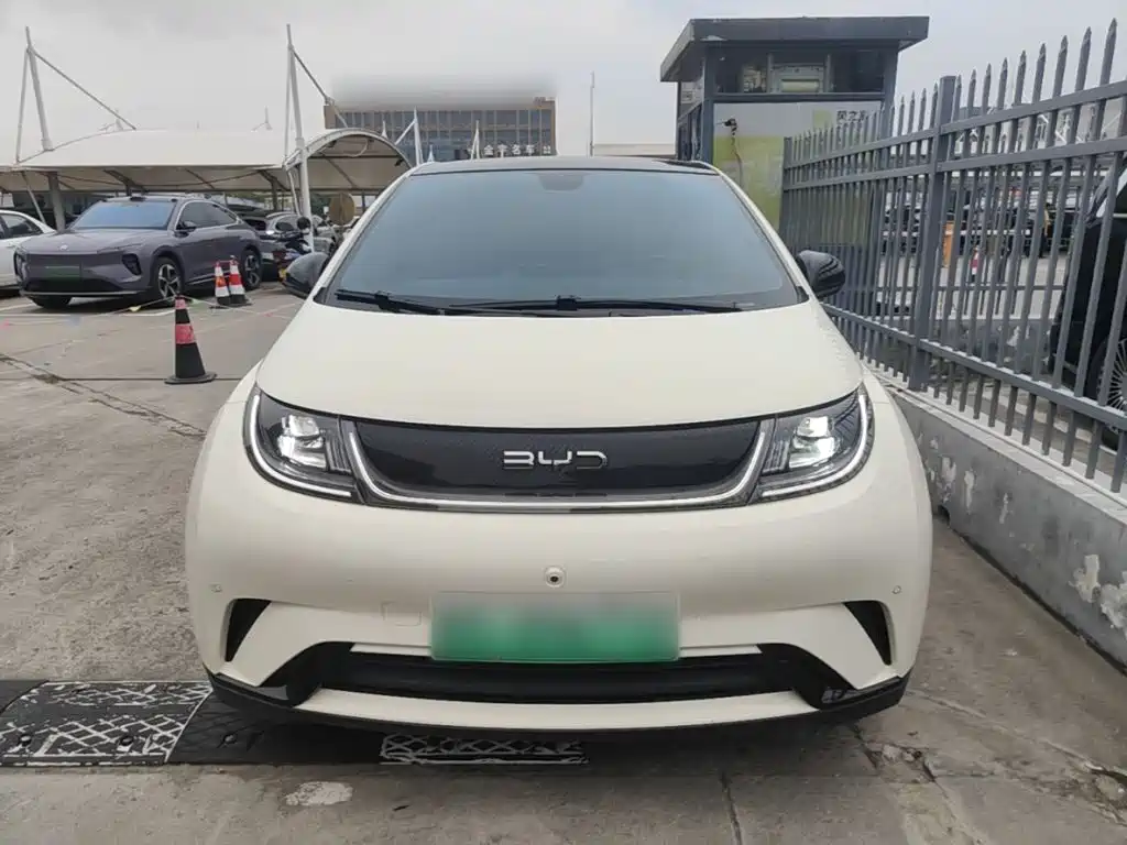 BYD Dolphin — миниатюра 3