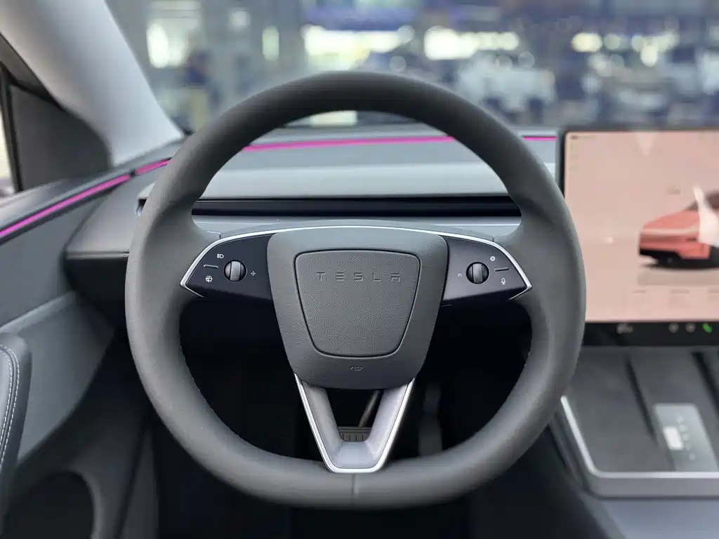 Tesla Model Y — миниатюра 16