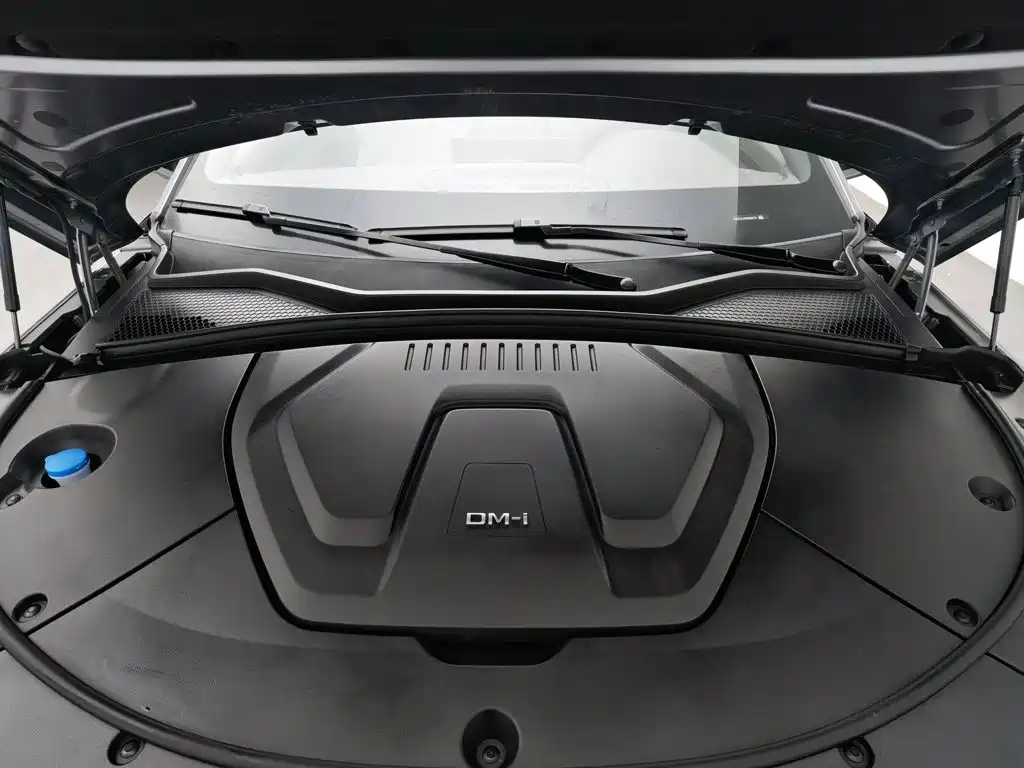 BYD PLUS New Energy — миниатюра 6
