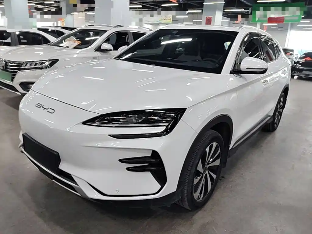 BYD PLUS New Energy — миниатюра 2