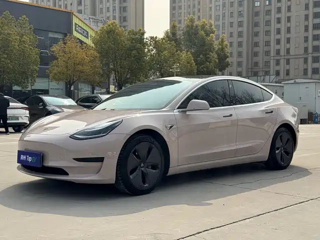 TESLA MODEL 3 2020