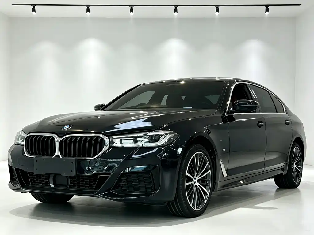 BMW 5 Series — миниатюра 4