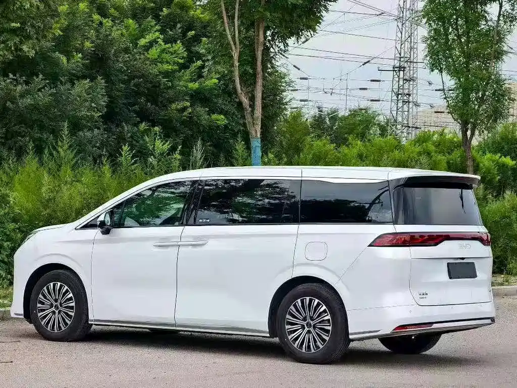BYD M9 — миниатюра 4