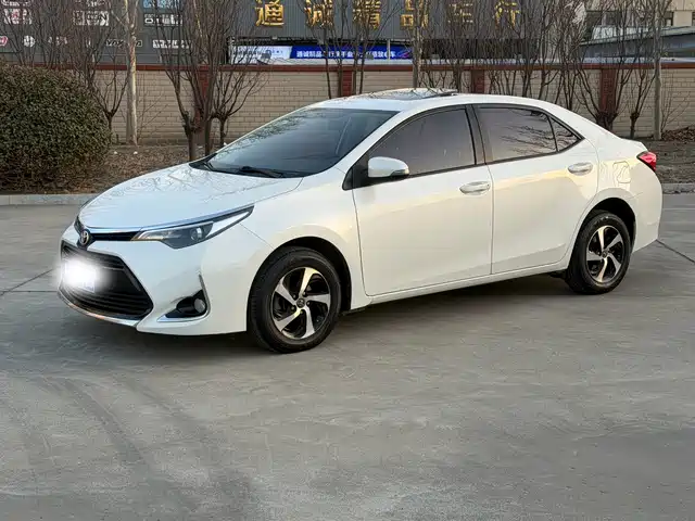 TOYOTA LEI LING 2019