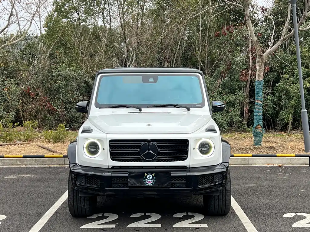 MERCEDES-BENZ G CLASS