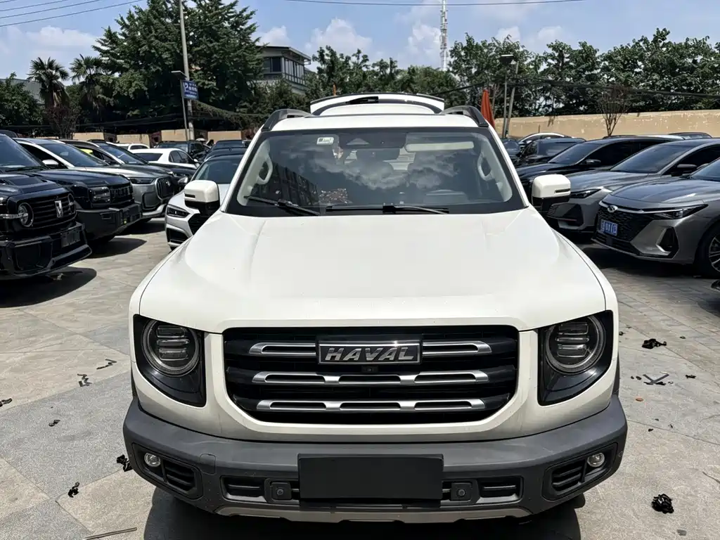 Haval Big Dog 2020
