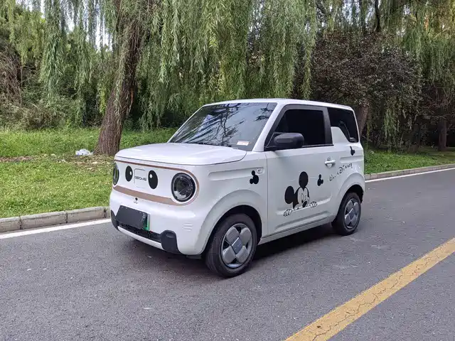 2025 Geely LC (Panda)