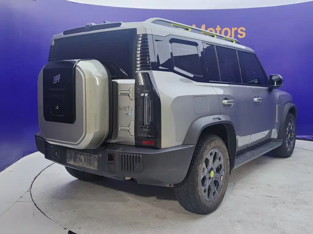 Shanhai Traveller C-DM — миниатюра 4