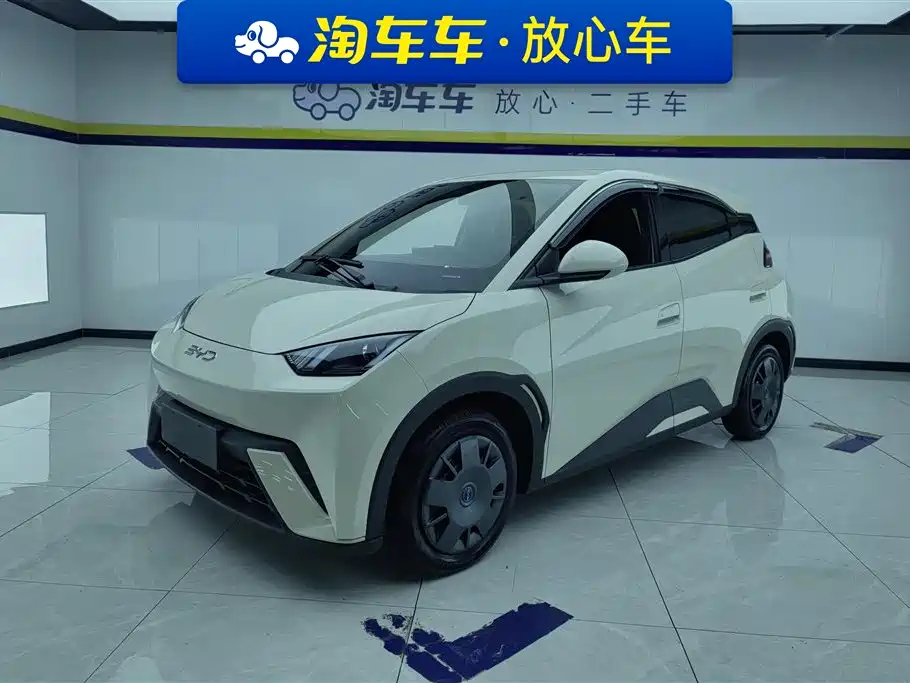 Byd Seagull 2024