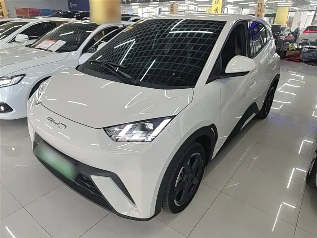 Byd Seagull 2023