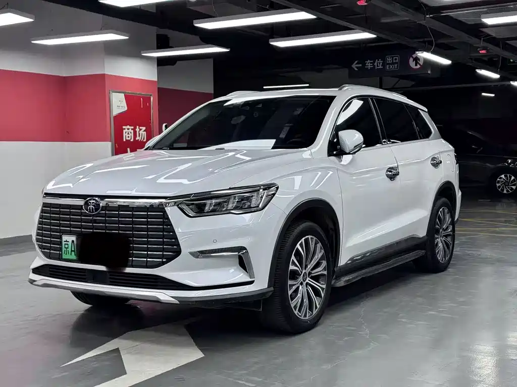 Byd Pro New Energy 2020