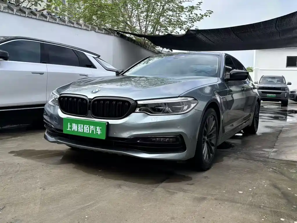 BMW 5 Series New Energy 2019