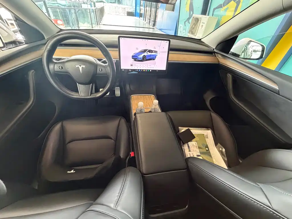 Tesla Model Y — миниатюра 9