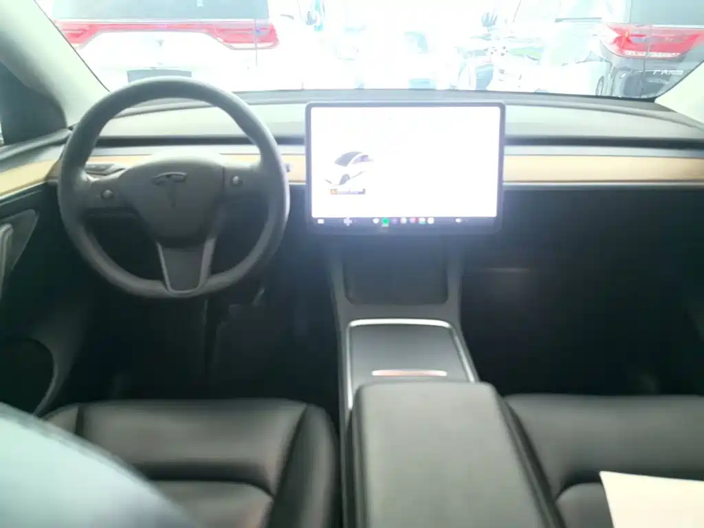 Tesla Model Y — миниатюра 10