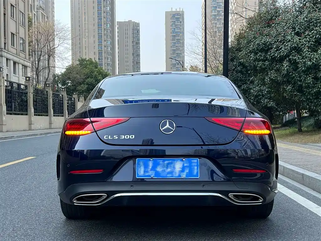 Mercedes-Benz CLS 2020 CLS 300