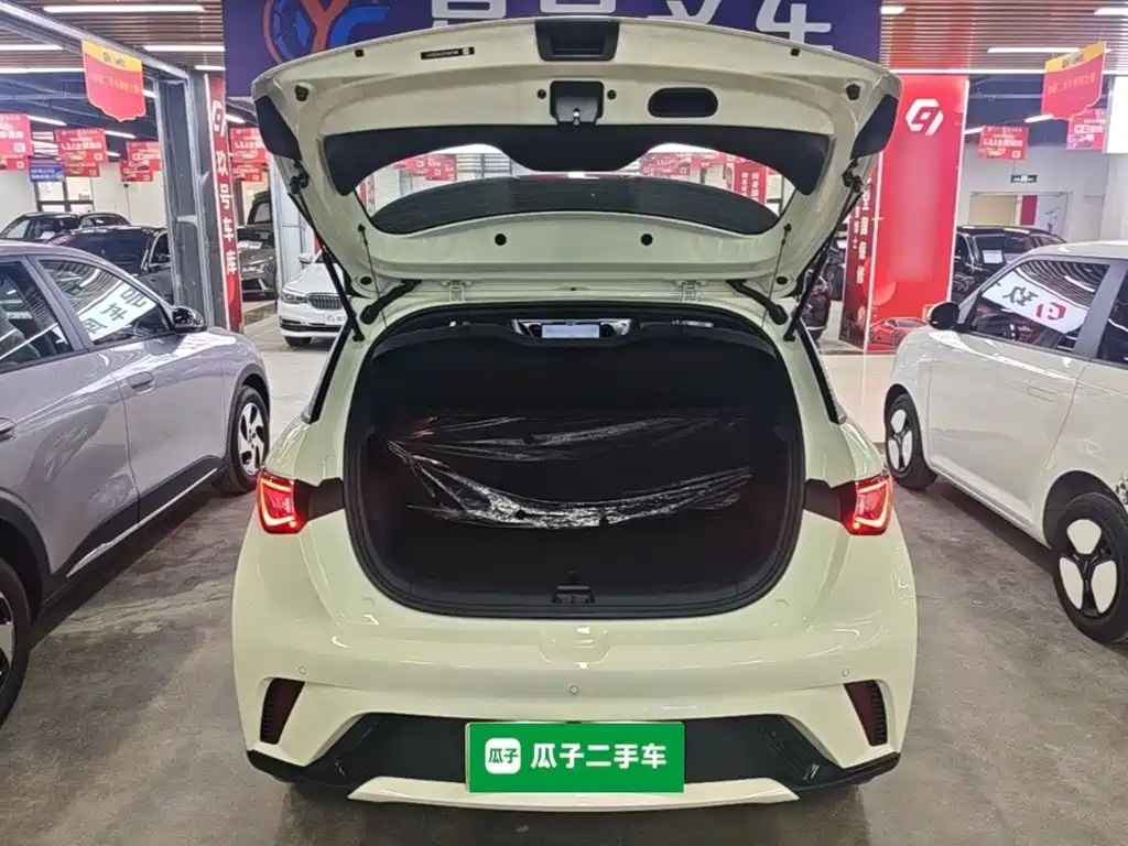 BYD Dolphin — миниатюра 19