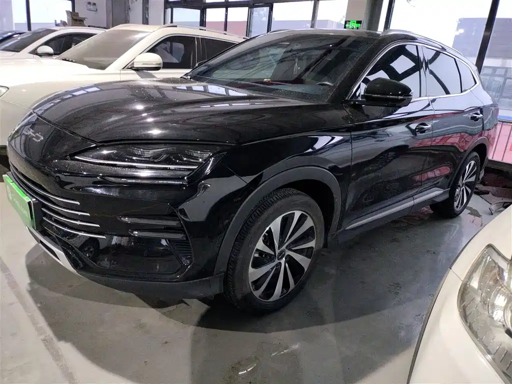 BYD SONGJIANG NEW ENERGY