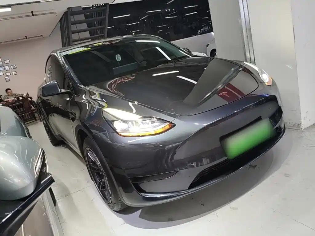 Tesla Model Y — миниатюра 4