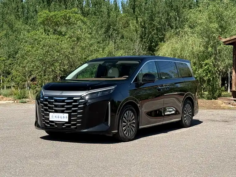 Byd Xia 2025