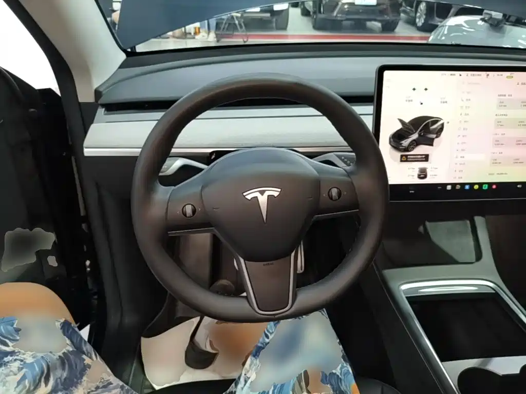 Tesla Model Y — миниатюра 11