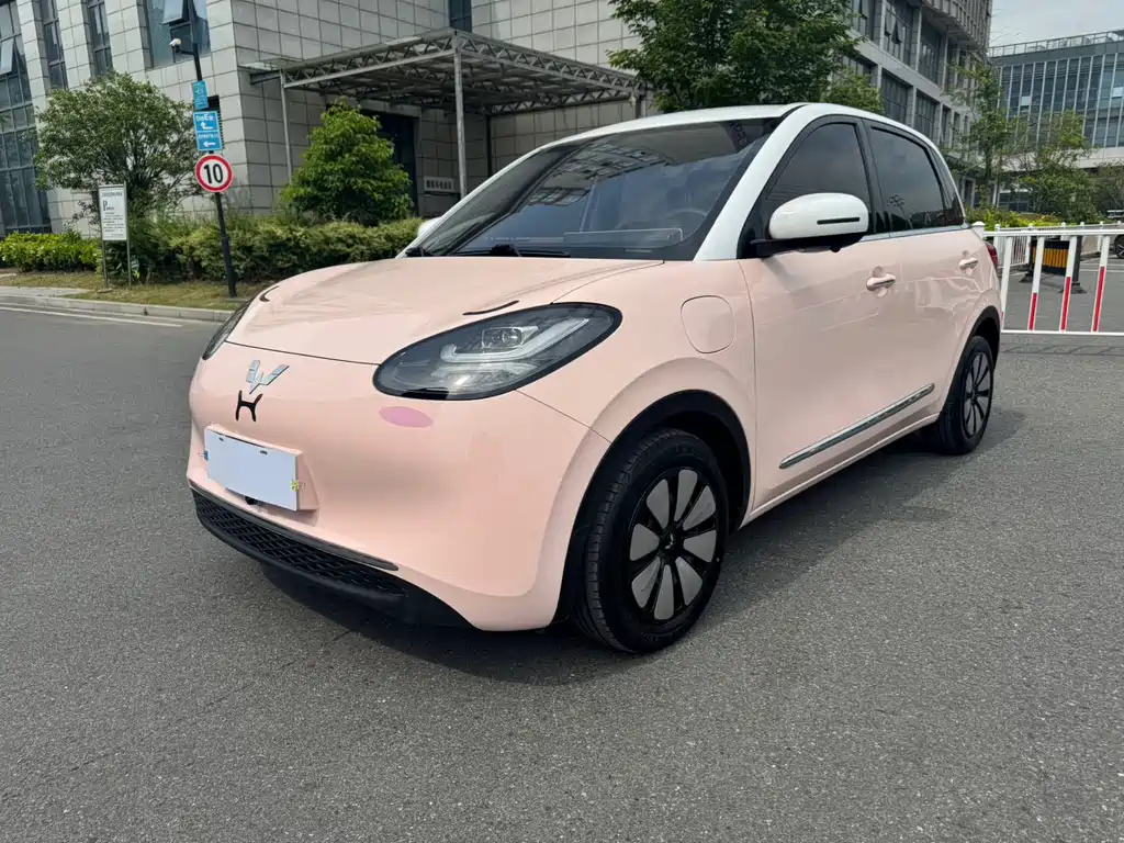 Wuling Bingo 2024