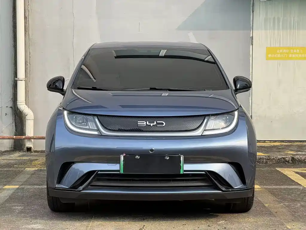 BYD Dolphin — миниатюра 2