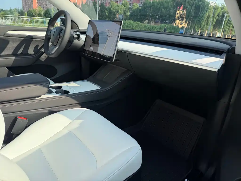 Tesla Model Y — миниатюра 11