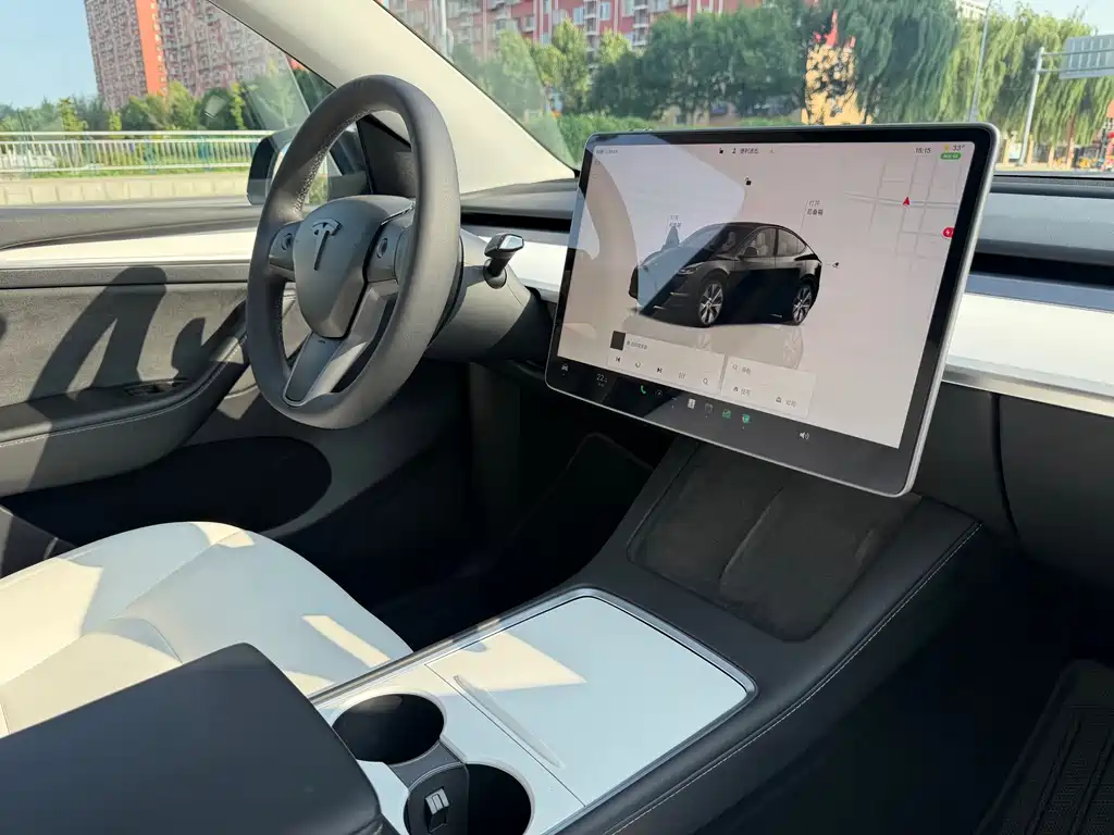 Tesla Model Y — миниатюра 10