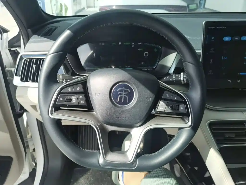 BYD PLUS New Energy — миниатюра 11
