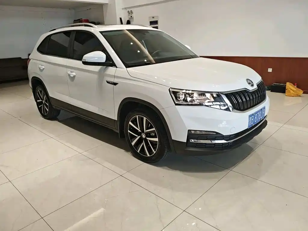 Skoda Kamiq — миниатюра 11